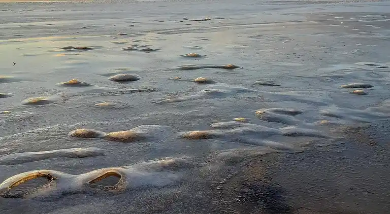 Vakantiehuis in Spøttrup