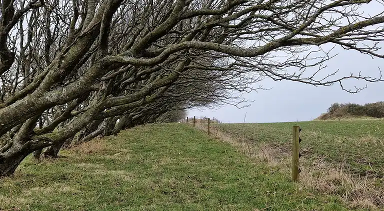 Maison de vacances en Spøttrup