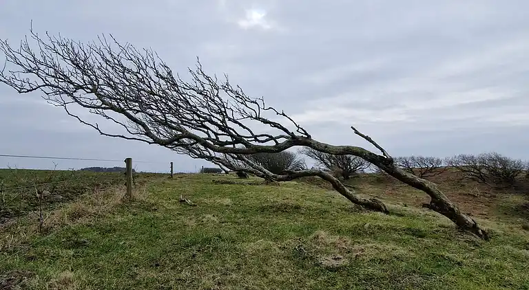 Vakantiehuis in Spøttrup