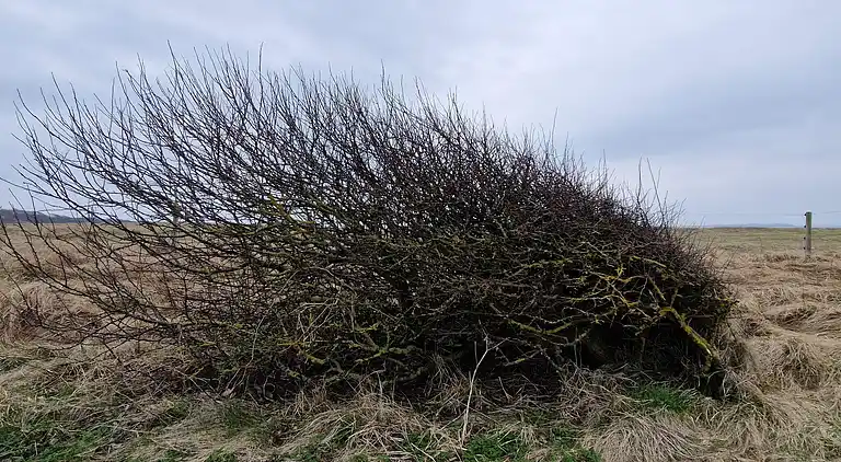Vakantiehuis in Spøttrup