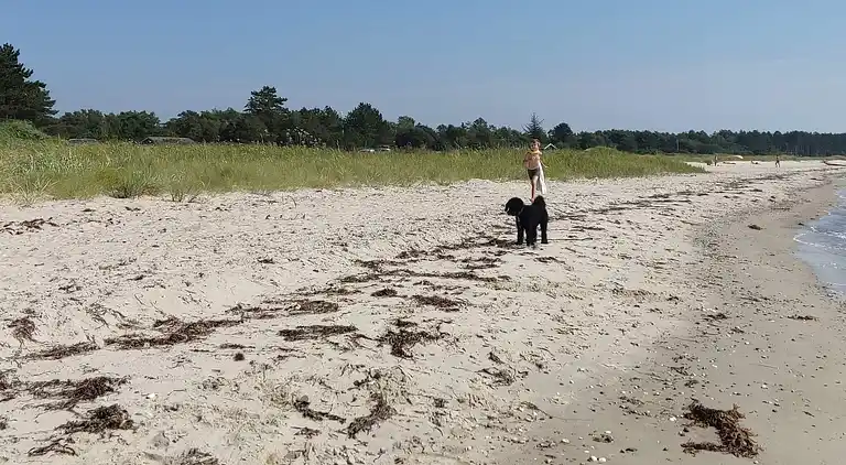 Holiday home in Knebel