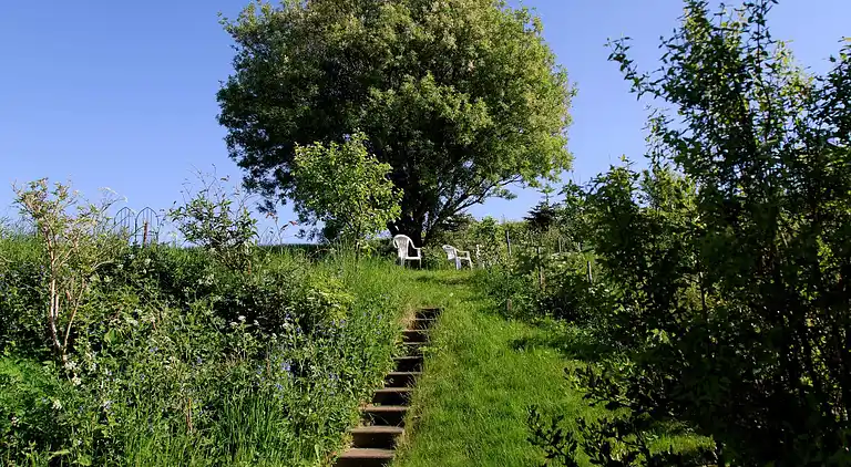 Holiday home in Knebel