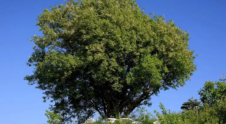 Holiday home in Knebel