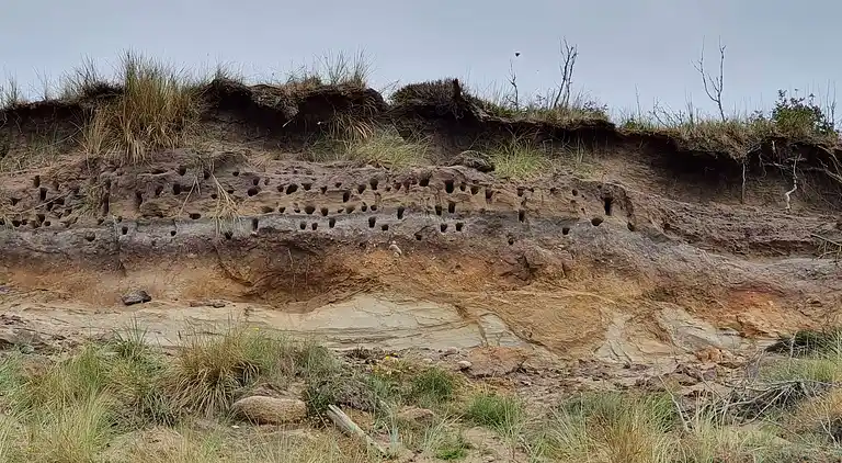 Semesterbostad i Spøttrup