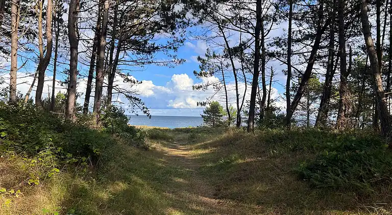 Sommerhus i Ebeltoft