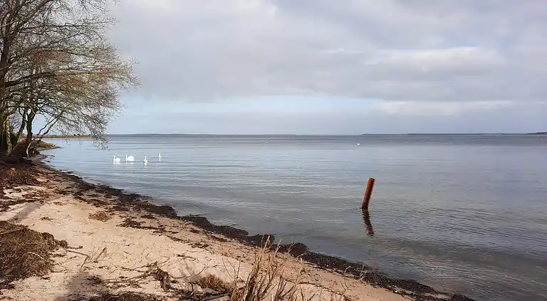 Holiday home in Højslev