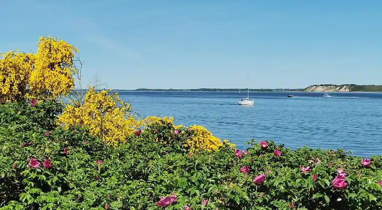 Holiday home in Højslev
