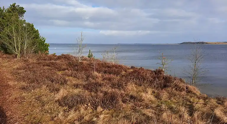 Holiday home in Højslev