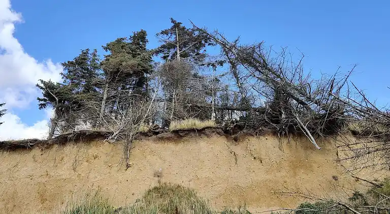 Holiday home in Spøttrup