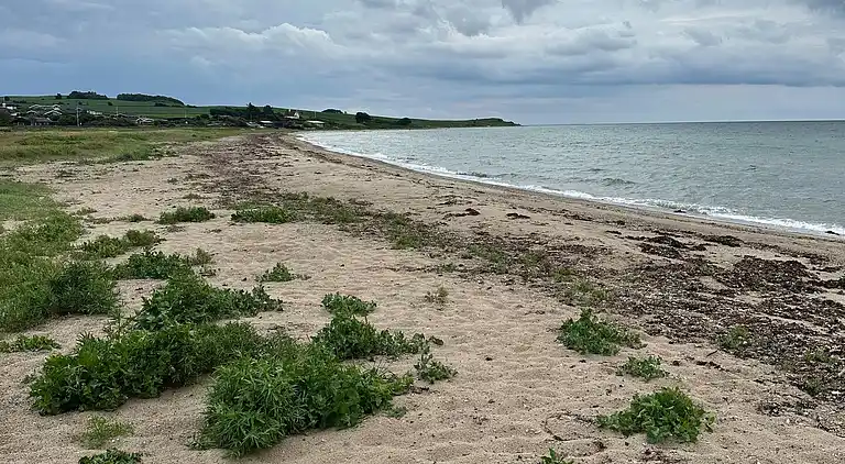 Roligt sommerhus med havkig til Aarhus Bugt