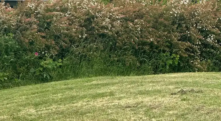 Roligt sommerhus med havkig til Aarhus Bugt