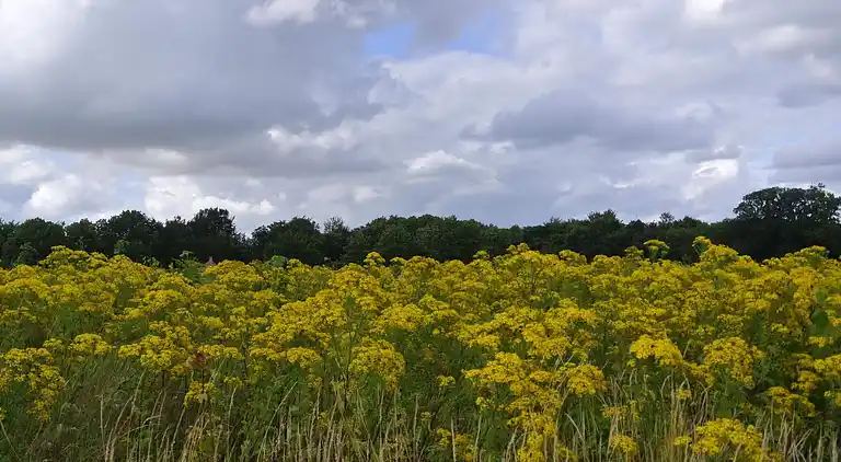 Semesterbostad vid Hejlsminde Strand