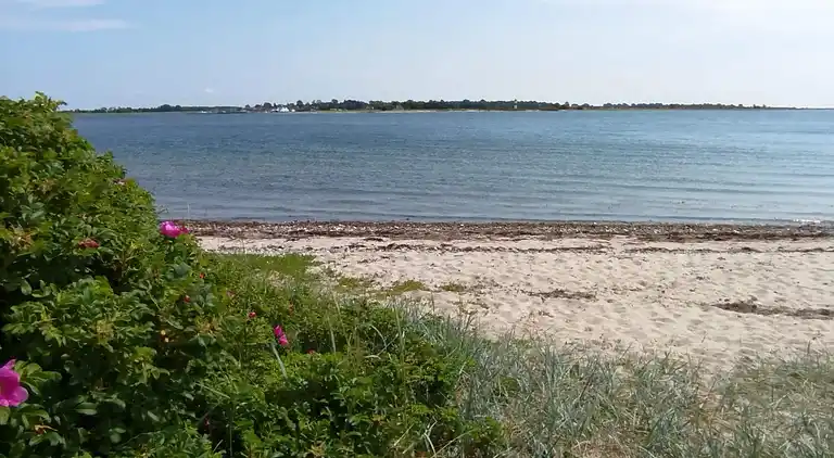 Sommerhus ved Flovt Strand