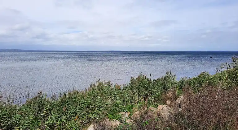 Sommerhus ved Flovt Strand