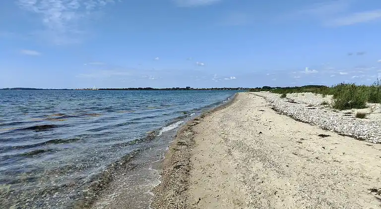 Sommerhus ved Flovt Strand