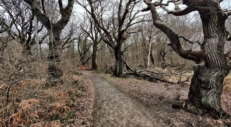 Sommerhus i Stoense Udflyttere