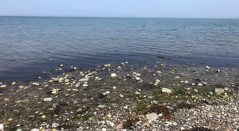 Sommerhus i Stoense Udflyttere