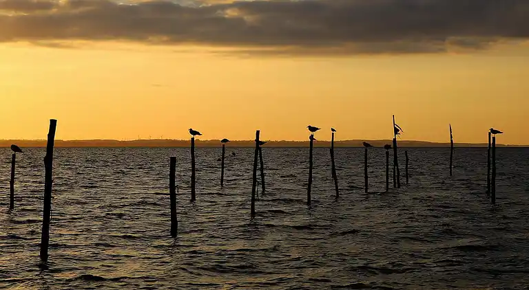 Sommerhus i Stoense Udflyttere