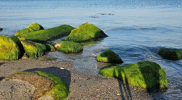 Sommerhus i Stoense Udflyttere