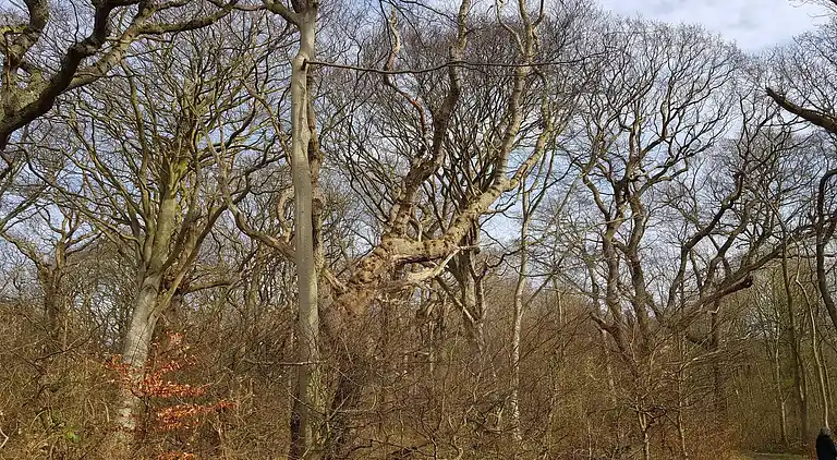 Sommerhus i Stoense Udflyttere