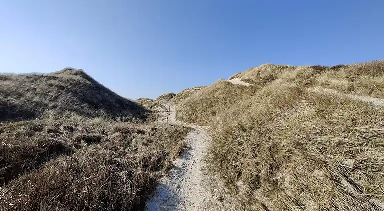 Holiday home in Fjerritslev