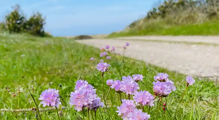 Holiday home in Fjerritslev