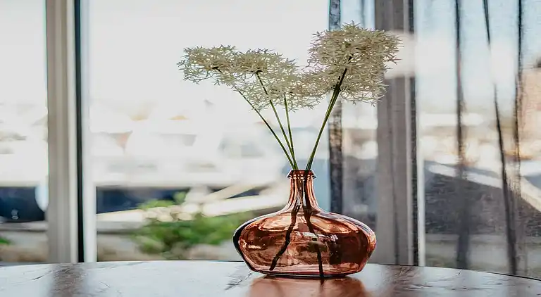 Holiday home in Uitgeest