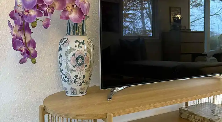 Schwedisch inspiriert mit schönem Wald nebenan