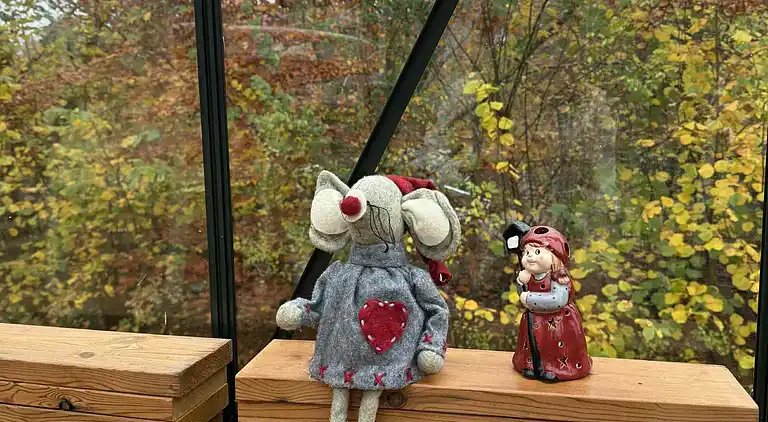 Schwedisch inspiriert mit schönem Wald nebenan