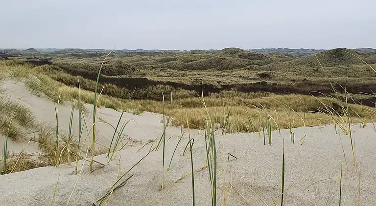 Sommerhus i Blåvand