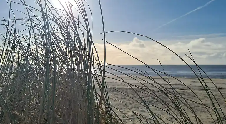 Sommerhus i Blåvand