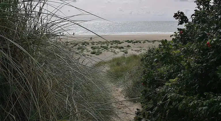 Sommerhus i Blåvand