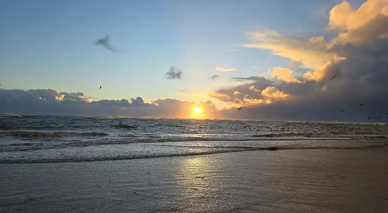 Sommerhus i Blåvand