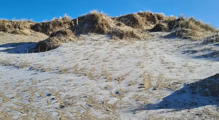 Sommerhus i Blåvand