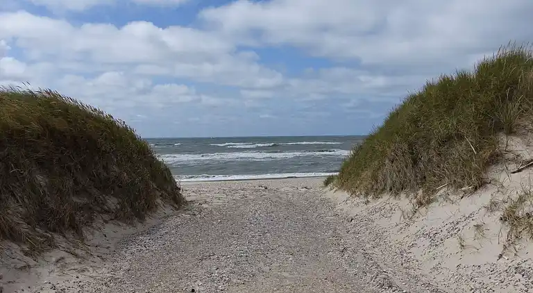 Sommerhus i Blåvand