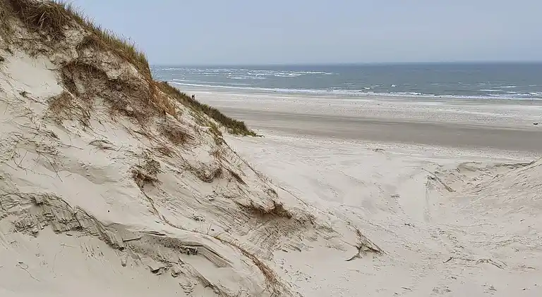 Sommerhus i Blåvand