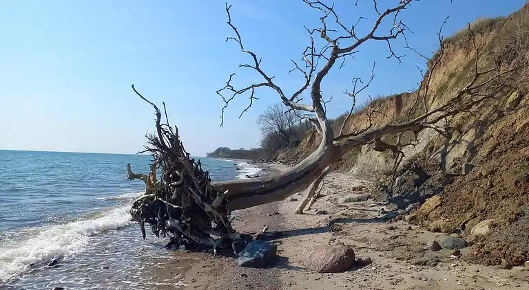 Sommerhus i Rudkøbing