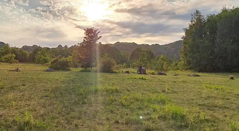 Holiday home in Sønderballe Strand