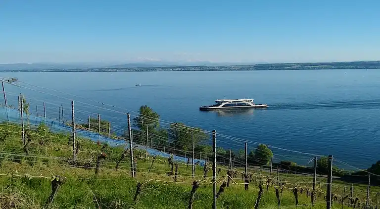 Ferienhaus in Meersburg
