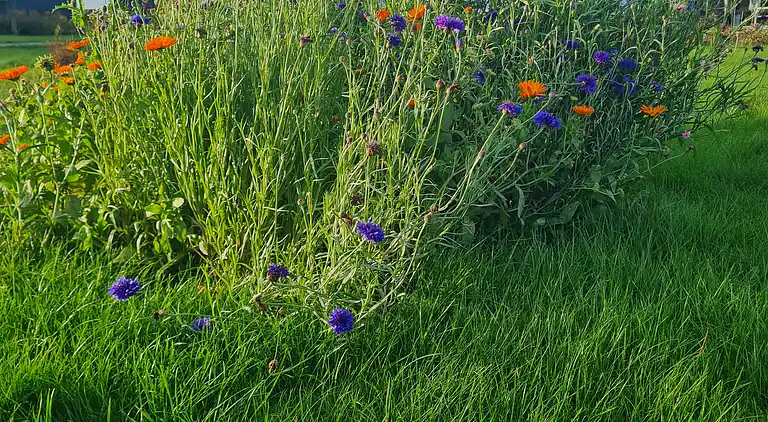 Gemütliches Ferienhaus an Fünens Nordküste