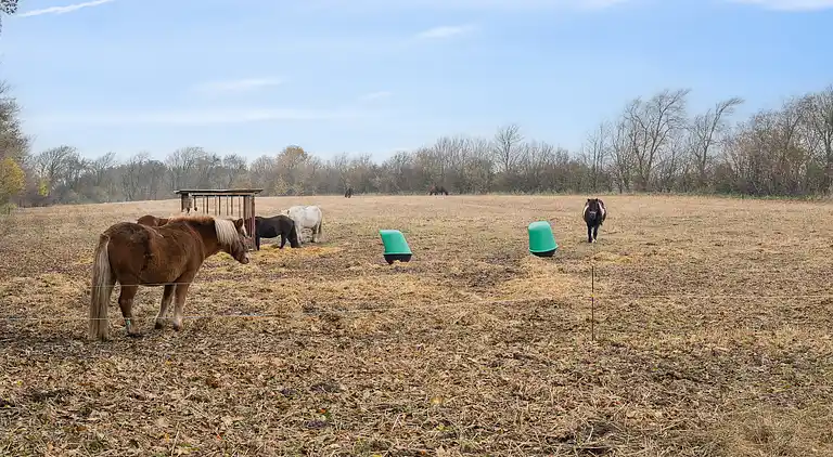 Gemütliche kleine Ferienoase in schöner Natur