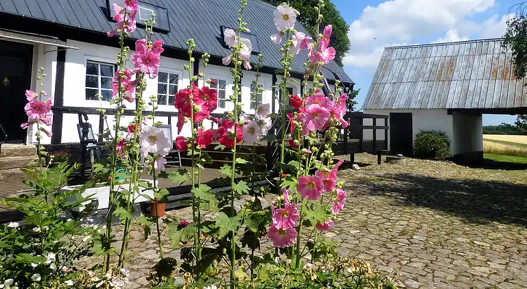 Großes Ferienhaus mitten auf Bornholm