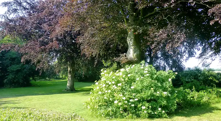 Großes Ferienhaus mitten auf Bornholm