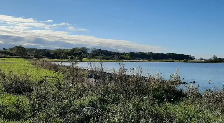 Sommerhus ved Vibæk Strand
