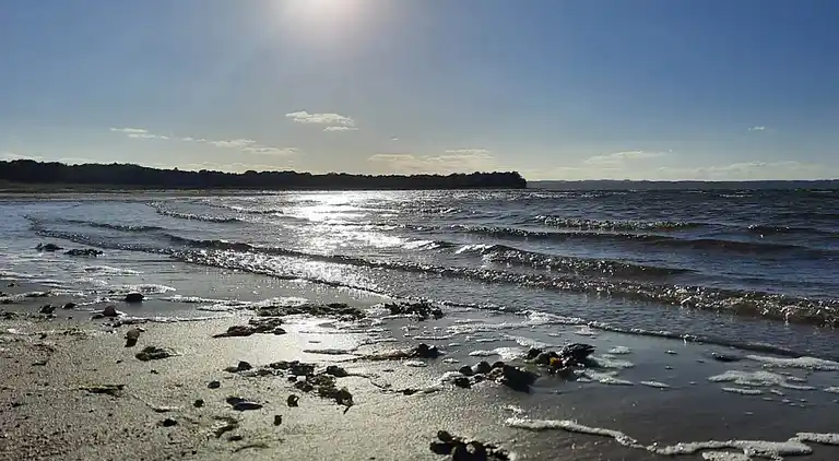 Sommerhus ved Vibæk Strand