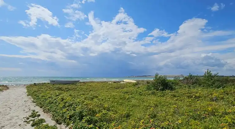 Holiday home in Knebel