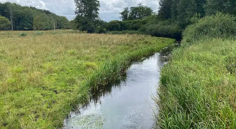 Holiday home in Hovborg