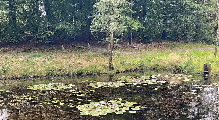 Holiday home in Hovborg