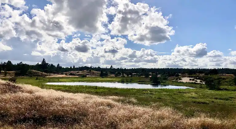 Holiday home in Hovborg