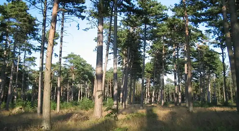 Casa de vacaciones en Væggerløse